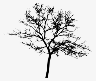 Tree Display Resolution Clip Art - Silhouette Trees Transparent Background, HD Png Download, Transparent PNG