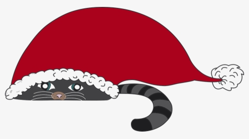 Christmas, Elf Hat, Cat, Christmas Cat, Santa Claus - Cartoon Cat Christmas, HD Png Download, Transparent PNG