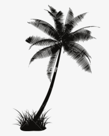 Palm Tree Vector - Coconut Tree Silhouette Vector Png, Transparent Png, Transparent PNG