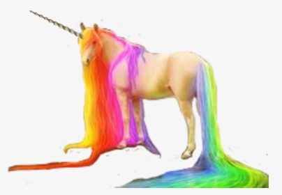 #unicorn #horn #unicornhorn #rainbow #rainbowunicorn - Unicornhorn, HD Png Download, Transparent PNG