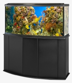 Reef - Aquarium Fish Tank Png, Transparent Png, Transparent PNG
