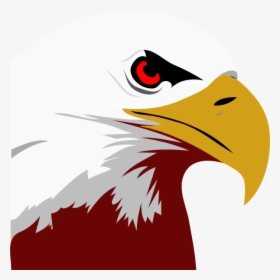 Eagle Clipart Bald Eagle Clip Art - Bald Eagle Clipart, HD Png Download, Transparent PNG