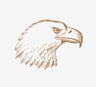 Geometric Eagle Png - Bald Eagle, Transparent Png, Transparent PNG