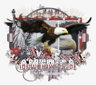 Eagle And Dees Sign Depot - Bald Eagle, HD Png Download, Transparent PNG