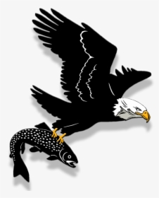 Bald Eagle , Png Download - Golden Eagle, Transparent Png, Transparent PNG