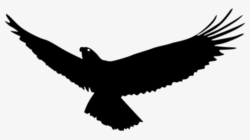 Bald Eagle Bird Flight - Flying Eagle Silhouette Png, Transparent Png, Transparent PNG