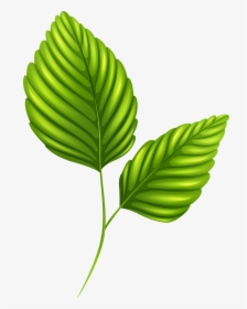Palm Leaf Png Clip Art - Two Green Leaves Clipart, Transparent Png, Transparent PNG