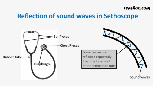Reflection Of Sound Waves In Sethoscope - Stethoscope Reflection Of Sound, HD Png Download, Transparent PNG