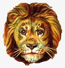Masai Lion, HD Png Download, Transparent PNG