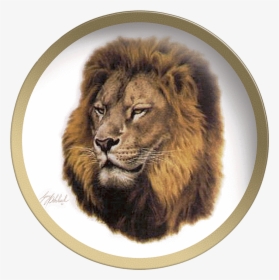 Collectable Plate By Guy Coheleach Lion Head Coffee - Lion, HD Png Download, Transparent PNG