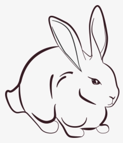 Rabbit Line Art, HD Png Download, Transparent PNG