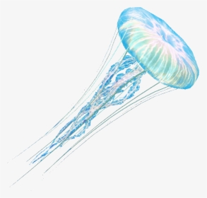 Jelly Fish Png - Jellyfish Transparent Background, Png Download, Transparent PNG