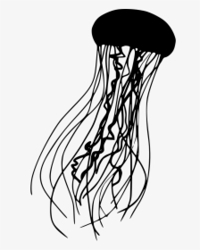 Jellyfish Png - Jellyfish Icon Png, Transparent Png, Transparent PNG