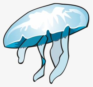 Jellyfish Ocean Clip Art - Vandmand Png, Transparent Png, Transparent PNG