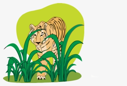 Transparent Jungle Animals Clipart - Plants And Animals Clipart, HD Png Download, Transparent PNG