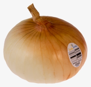 Stella Farms Sweet Onion - Yellow Onion, HD Png Download, Transparent PNG