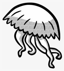 Lineart Clip Arts - Jellyfish Clipart Black And White, HD Png Download, Transparent PNG
