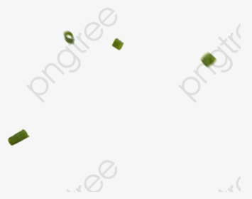 Circle, HD Png Download, Transparent PNG