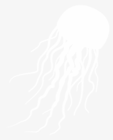 Clip Art Simple Clipart - Jelly Fish Vector Png, Transparent Png, Transparent PNG