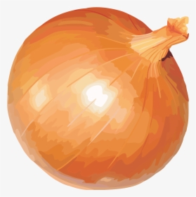 Transparent Clipart Onion Vegetable, HD Png Download, Transparent PNG