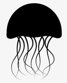 Jellyfish Png Transparent Images - Jellyfish, Png Download, Transparent PNG
