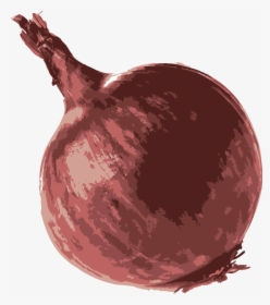 Onion 1, HD Png Download, Transparent PNG