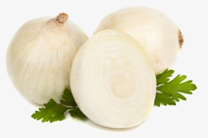 Onion, HD Png Download, Transparent PNG