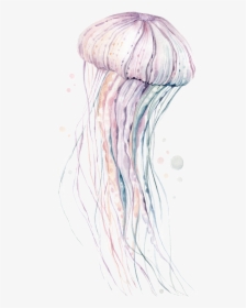 Hand-painted Rare Pink Jellyfish Png Transparent - Illustration, Png Download, Transparent PNG