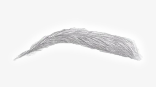Power Brows - White Eyebrows Transparent, HD Png Download, Transparent PNG