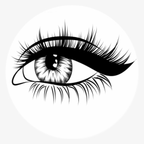 Eyelash Clipart Eyebrow Threading - Obočí Kreslené, HD Png Download, Transparent PNG