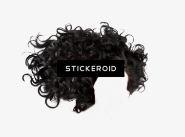 Download Hd Pic Black - Men Curly Hair Png, Transparent Png, Transparent PNG