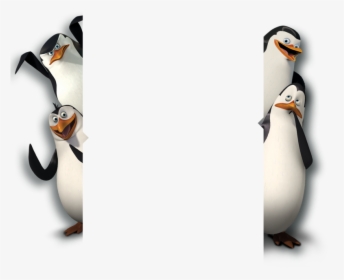 Penguins Of Madagascar Background, HD Png Download, Transparent PNG
