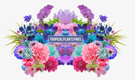 Aesthetic Flower Png - Tropical Flowers Png Pack, Transparent Png, Transparent PNG