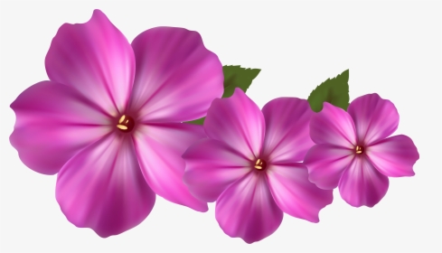 Pink Flower Decor Png Clipart - Purple And Pink Flower Clipart, Transparent Png, Transparent PNG