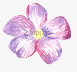 Transparent Flower Crown Png Tumblr - Transparent Png Overlays Png Flowers, Png Download, Transparent PNG