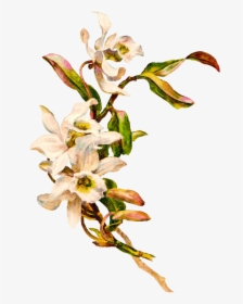 Victorian Vintage Flowers - Mockup Bag, HD Png Download, Transparent PNG
