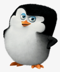 #madagascar #penguins #cute - Lies Always Come Back, HD Png Download, Transparent PNG