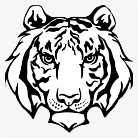 Am Wildcat Old Logo, HD Png Download, Transparent PNG