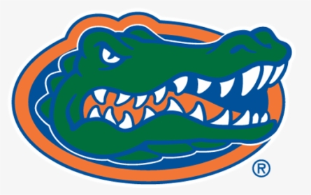 University Of Florida Gainesville Mascot, HD Png Download, Transparent PNG