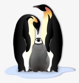 Emperor Penguin Clip Art, HD Png Download, Transparent PNG
