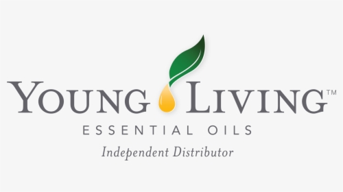Yl Logo - Young Living, HD Png Download, Transparent PNG