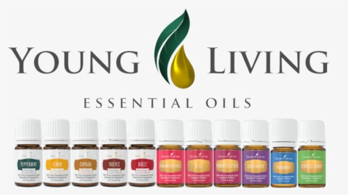 Young Living Logo Png - Young Living, Transparent Png - 3388x1044