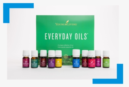 Image - Yl Everyday Oils Collection, HD Png Download, Transparent PNG