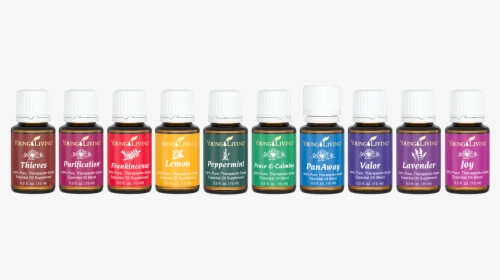 Young Living Essential Oils - Transparent Young Living Logo Png