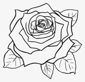 Rose Outline Png - Draw A Rose Step, Transparent Png, Transparent PNG