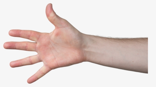 Transparent Grabbing Hand Png - Reaching Hand Png, Png Download, Transparent PNG
