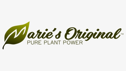 Pure Plant Power - Calligraphy, HD Png Download, Transparent PNG
