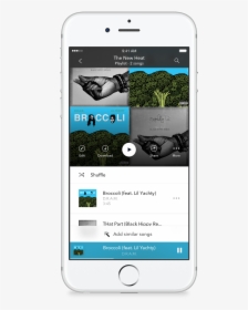 Tinder Gold App For Free - Does Pandora Premium Look Like, HD Png Download, Transparent PNG