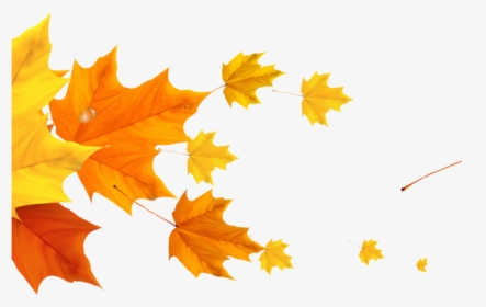 Autumn Divider Cliparts - Fall Leaves Transparent Background, HD Png Download, Transparent PNG