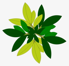 Leaf Tree Top View “free” Png File Clipart - Plant Vector Top View, Transparent Png, Transparent PNG